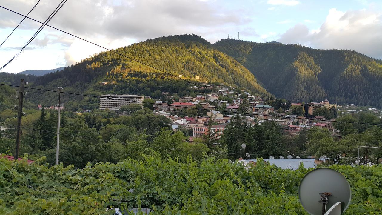 Guest House Khatuna Borjomi Εξωτερικό φωτογραφία