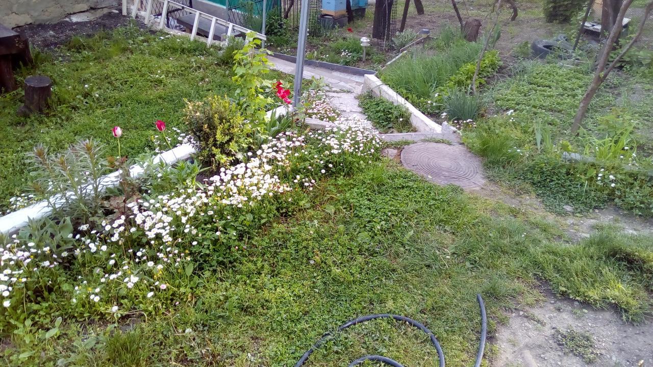 Guest House Khatuna Borjomi Εξωτερικό φωτογραφία