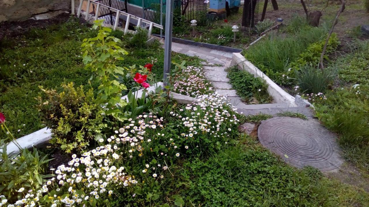 Guest House Khatuna Borjomi Εξωτερικό φωτογραφία